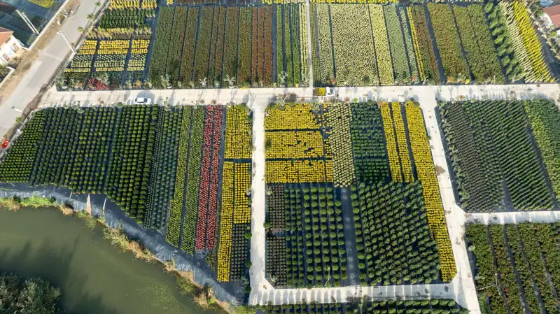 重型货架与仓储笼在工厂物料管理中的协同应用解析