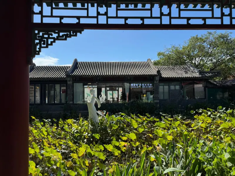渝中区音迪娱仓储笼与货架组合方案，提升车间空间利用率