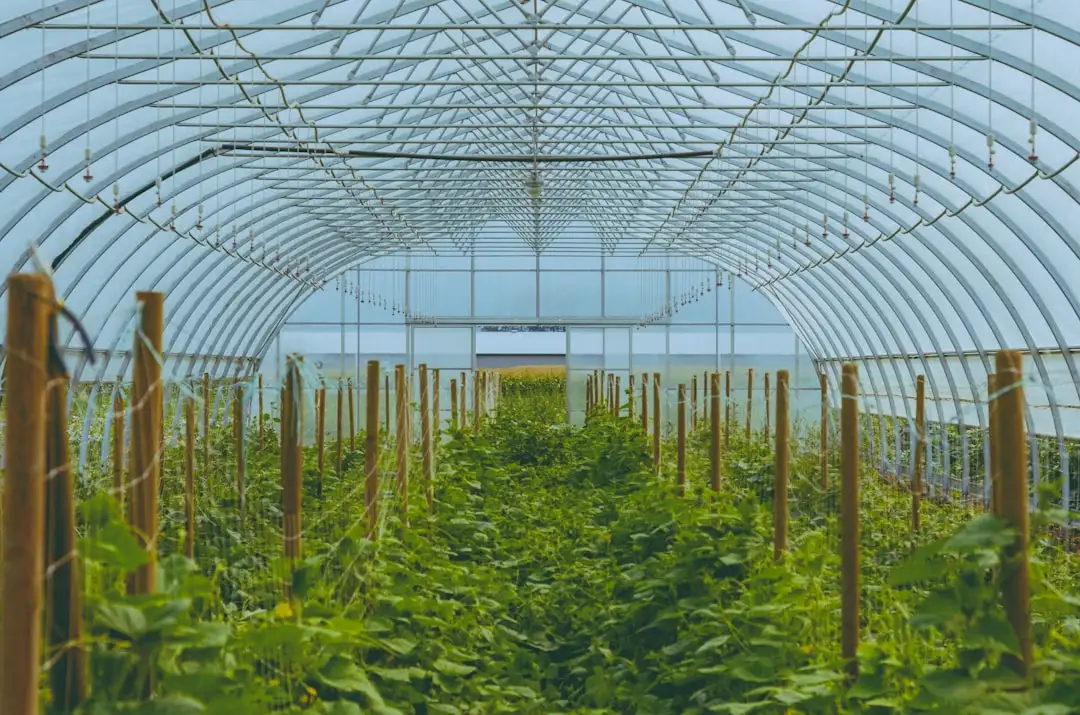 车间仓储货架选型要点：承重标准与空间布局优化方案
