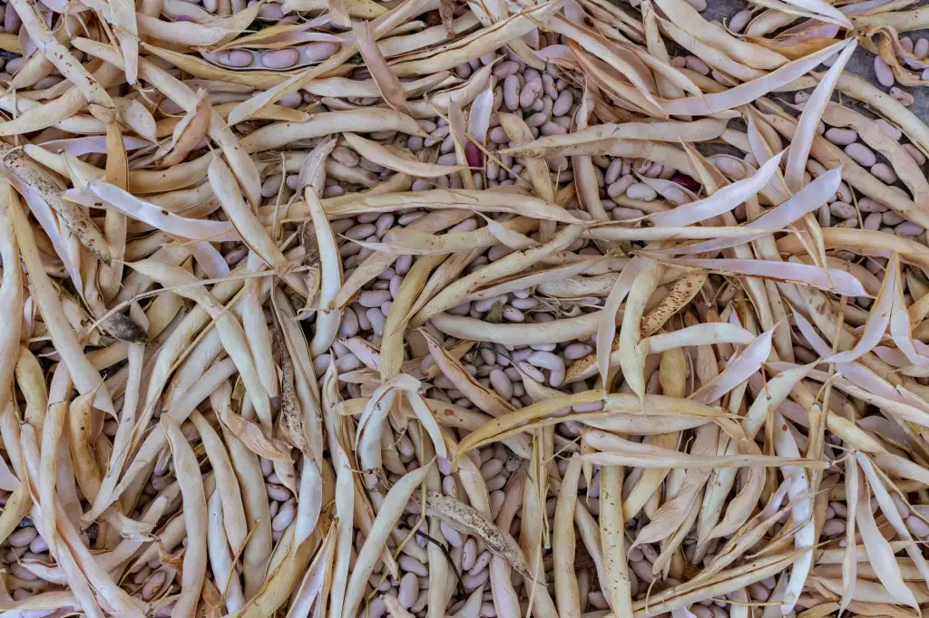 重型工具柜与车间储物方案:提升物料管理效率的关键设计